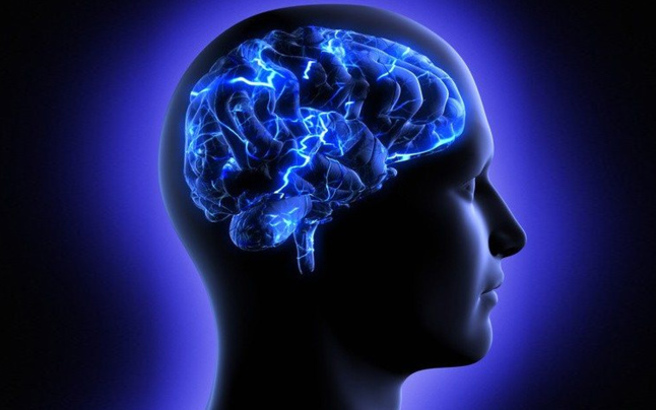 Ο «ιππόκαμπος» του εγκεφάλου μας αποτελεί την βασική αιτία του στρες