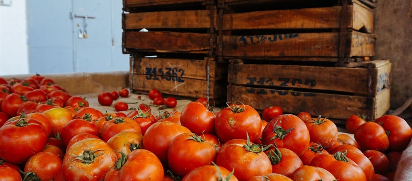 Επιχείρηση σάλτσας καλεί πολίτες να πάρουν με… τις ντομάτες βουλευτές, Κοτζιά και Τσίπρα