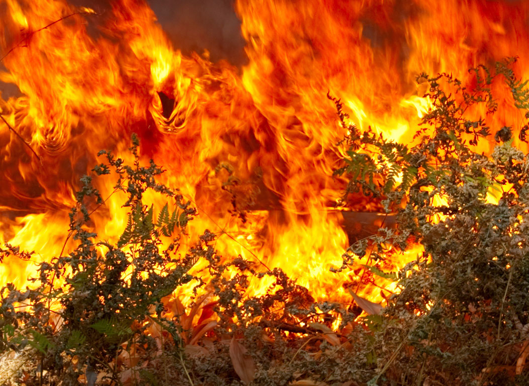 Πυρκαγιά στα Χανιά απειλεί κατοικημένη περιοχή