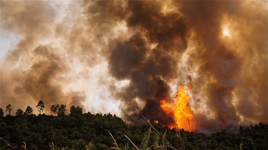 Συνεχίζεται η μάχη με τις φωτιές στην Αμαλιάδα: