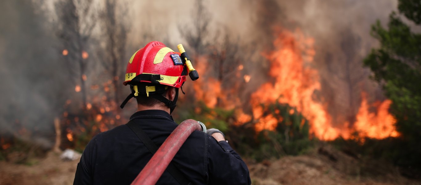 Ηλεία: Ξέσπασε μεγάλη πυρκαγιά στο δάσος της Στροφυλιάς! – Καίγεται σπάνιο οικοσύστημα (φωτό, βίντεο, upd)