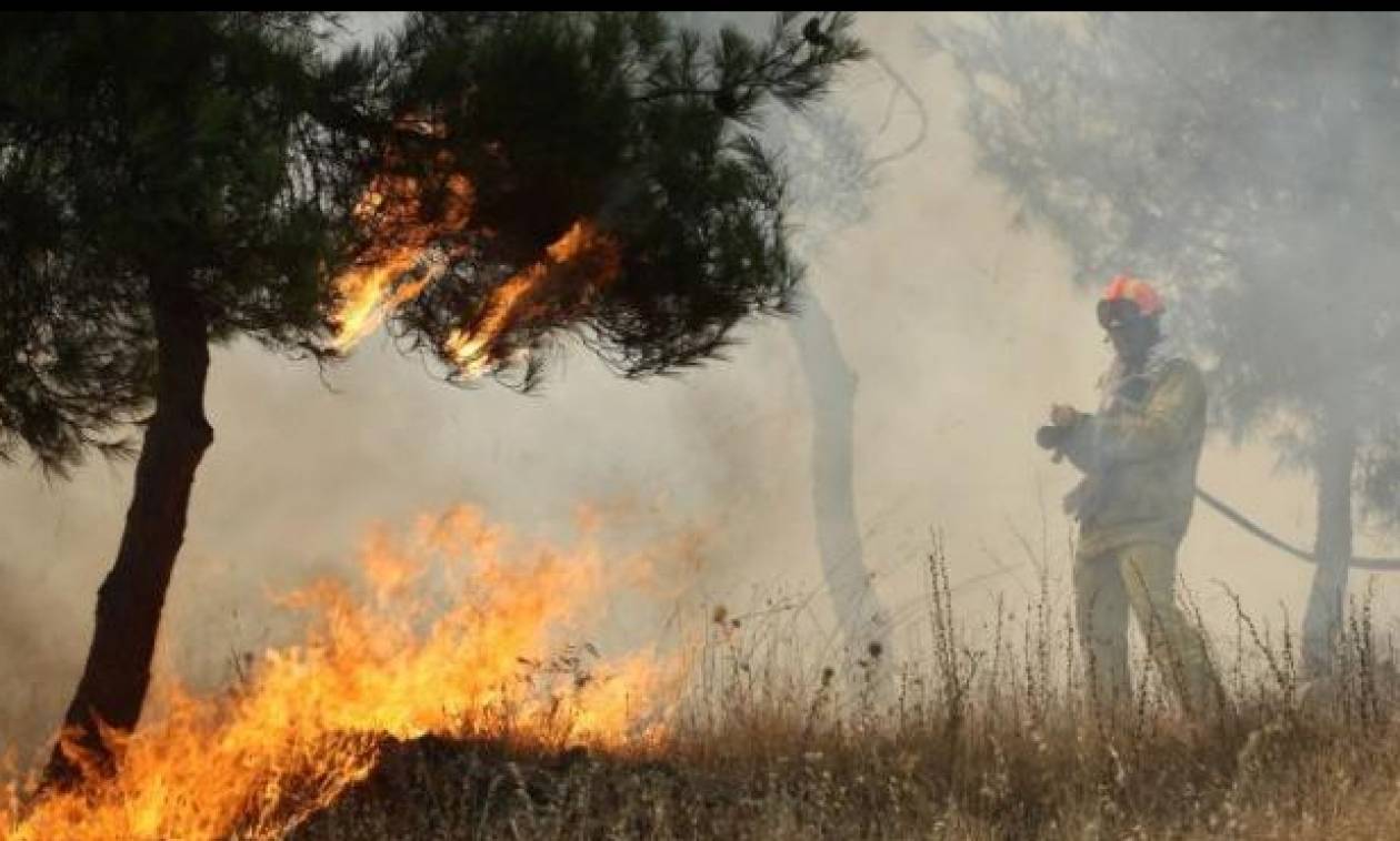 Ανεξέλεγκτη η φωτιά στο δάσος της Στροφυλιάς και είναι ακόμα… χειμώνας!