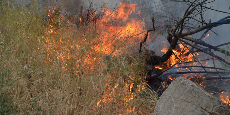 Πυρκαγιά στην Ανατολική Μάνη: Το μέτωπο κινείται σε γειτονικό οικισμό του Αγίου Κυπριανού