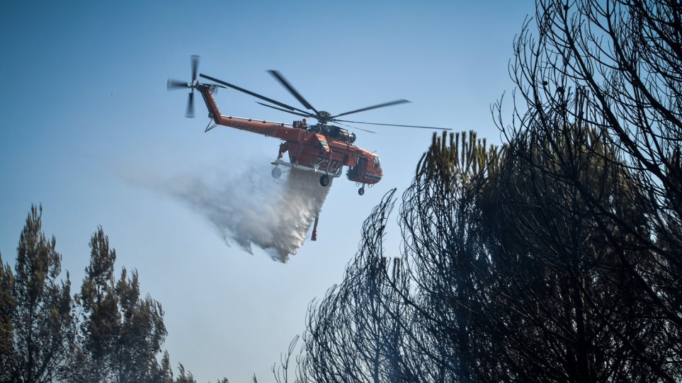 44 πυρκαγιές εκδηλώθηκαν το Σάββατο λέει η Πυροσβεστική – Υψηλός κίνδυνος την Κυριακή σε Εύβοια και Αττική