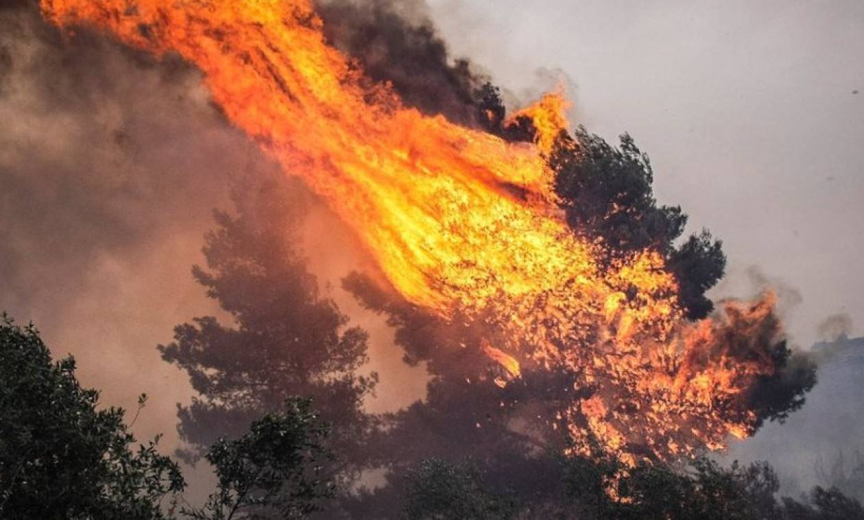 Φωτιά κοντά στην αρχαία Νικόπολη Πρέβεζας – Καίγεται αγροτική έκταση με ελιές