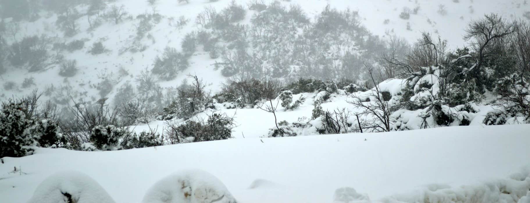 Εύβοια: Aποκλεισμένοι και χωρίς ρεύμα οι κάτοικοι για τρίτη ημέρα (βίντεο)