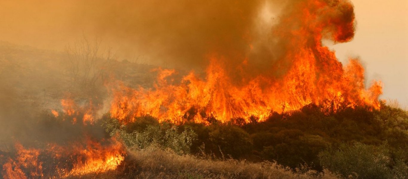 Πυρκαγιά σε δασική έκταση στη Νεμέα