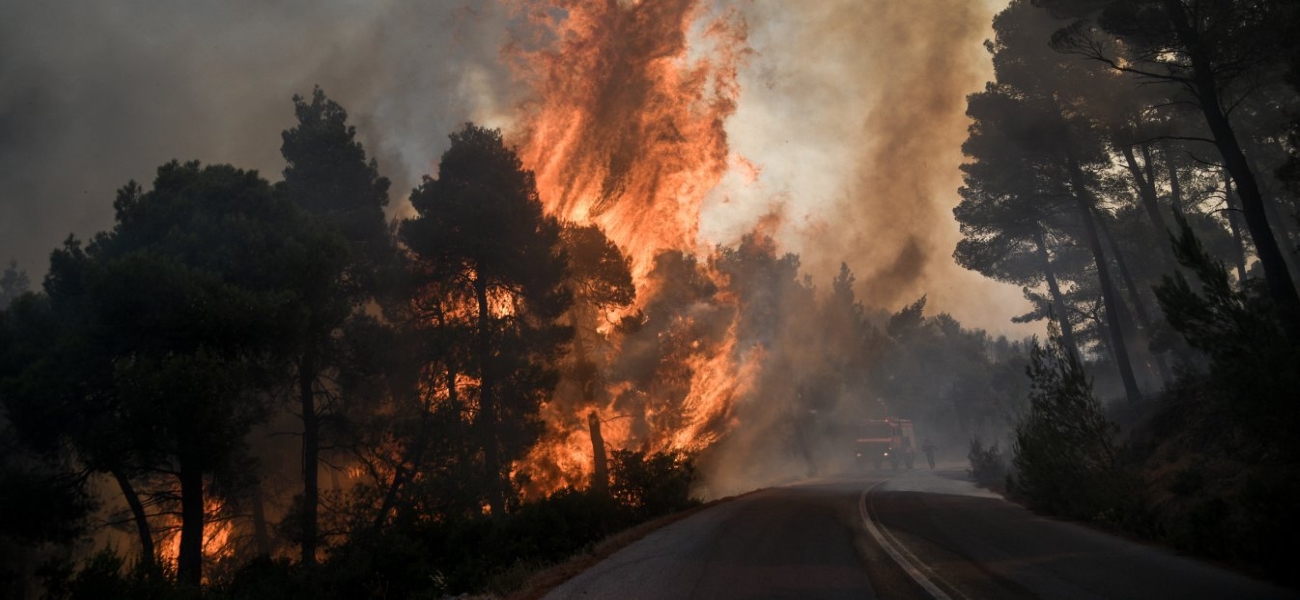 Ανεξέλεγκτη η φωτιά σε δασική έκταση στη Φθιώτιδα – Βίντεο από ψηλά (upd)