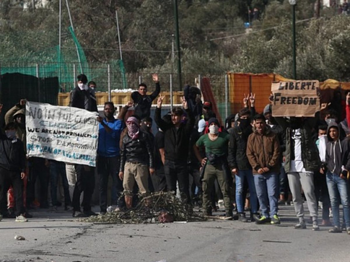 Κάτοικος Μόριας για τις αρπαγές  κατοικίδιων από αλλοδαπούς: «Παίρνουμε το βράδυ τα σκυλιά μέσα στο σπίτι μας…»!