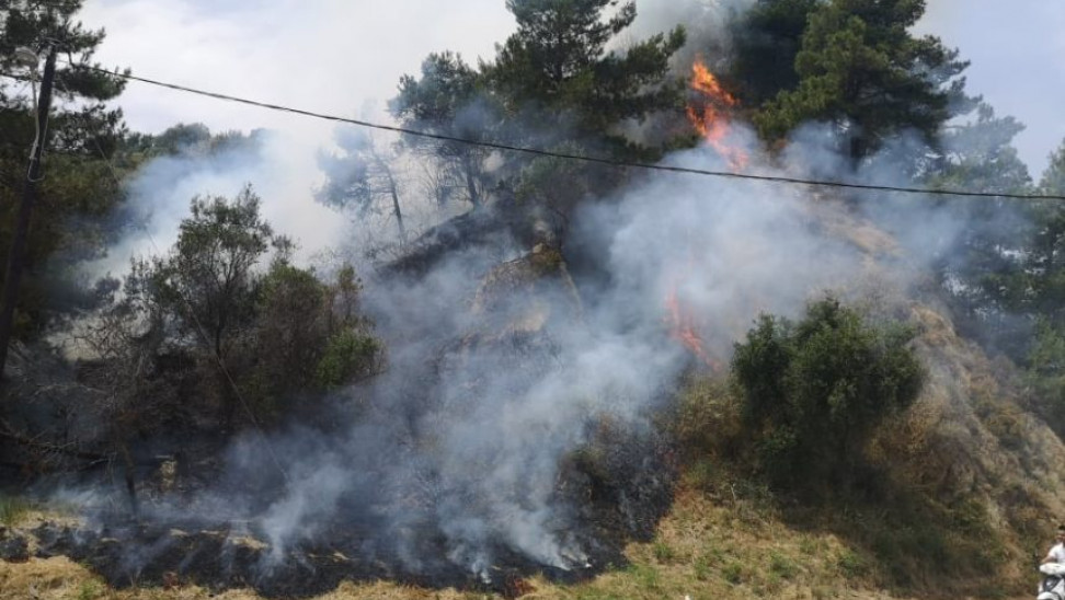 Κατασβέστηκε η φωτιά στη Νέα Ραιδεστό Θεσσαλονίκης