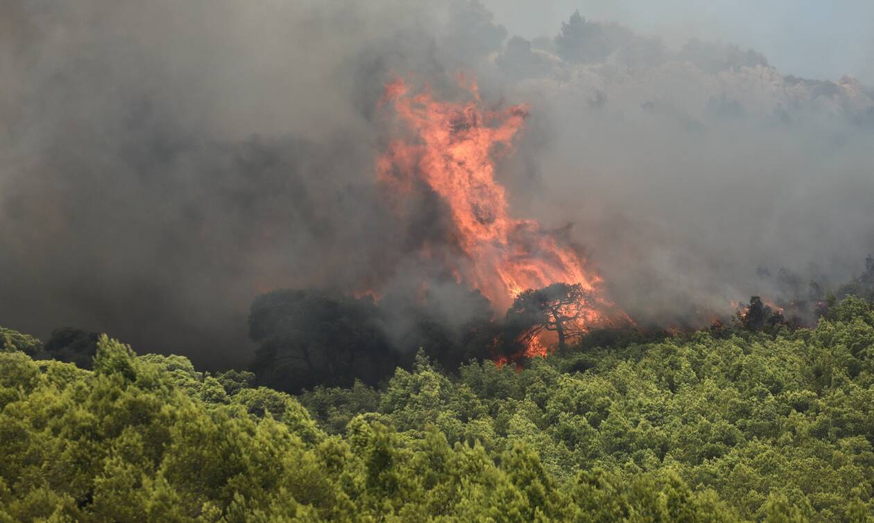 Υπό μερικό έλεγχο η φωτιά στην Κάρυστο – Συνελήφθη γυναίκα για εμπρησμό