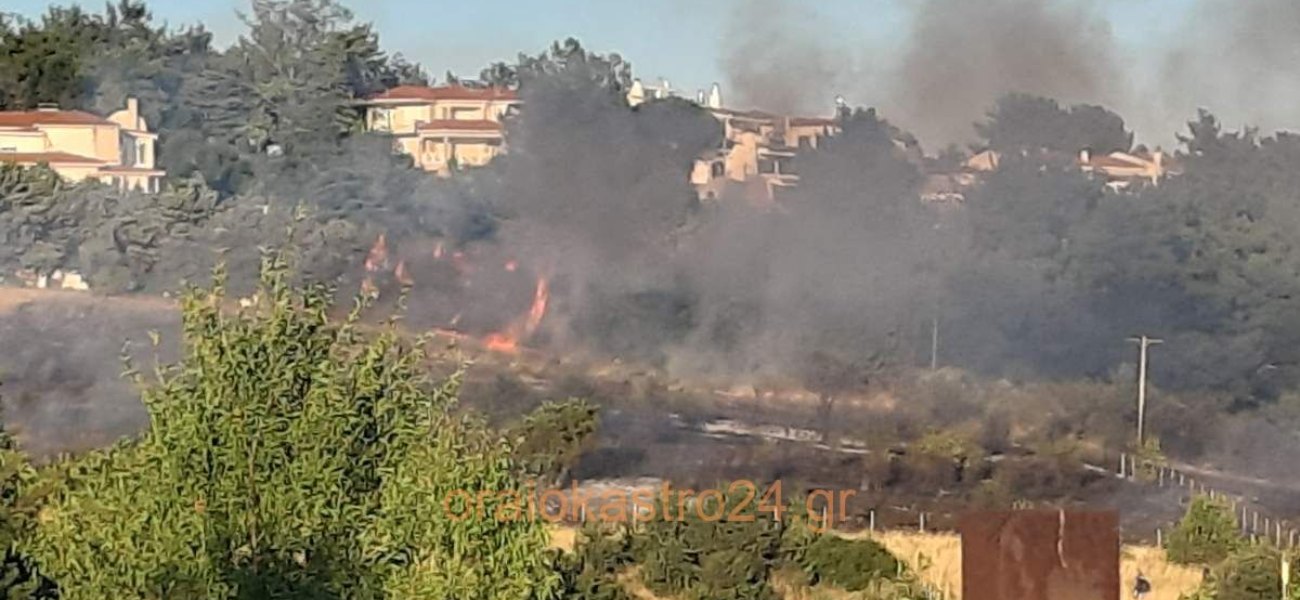 Ωραιόκαστρο: Φωτιά ξέσπασε κοντά στον οικισμό Γαλήνη