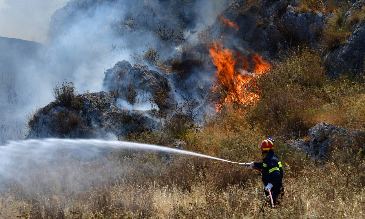 Υπό μερικό έλεγχο η μεγάλη πυρκαγιά στην Ηλεία