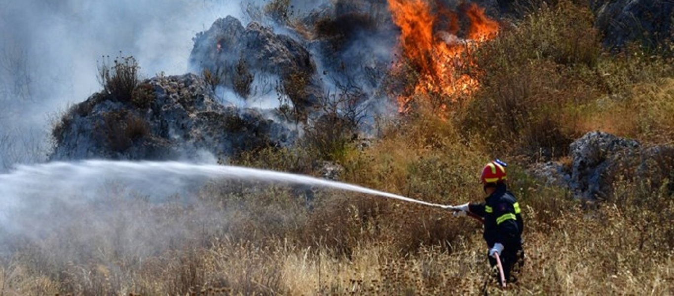 Βοιωτία: Υπό έλεγχο η φωτιά στην περιοχή της Χαιρώνειας (βίντεο)