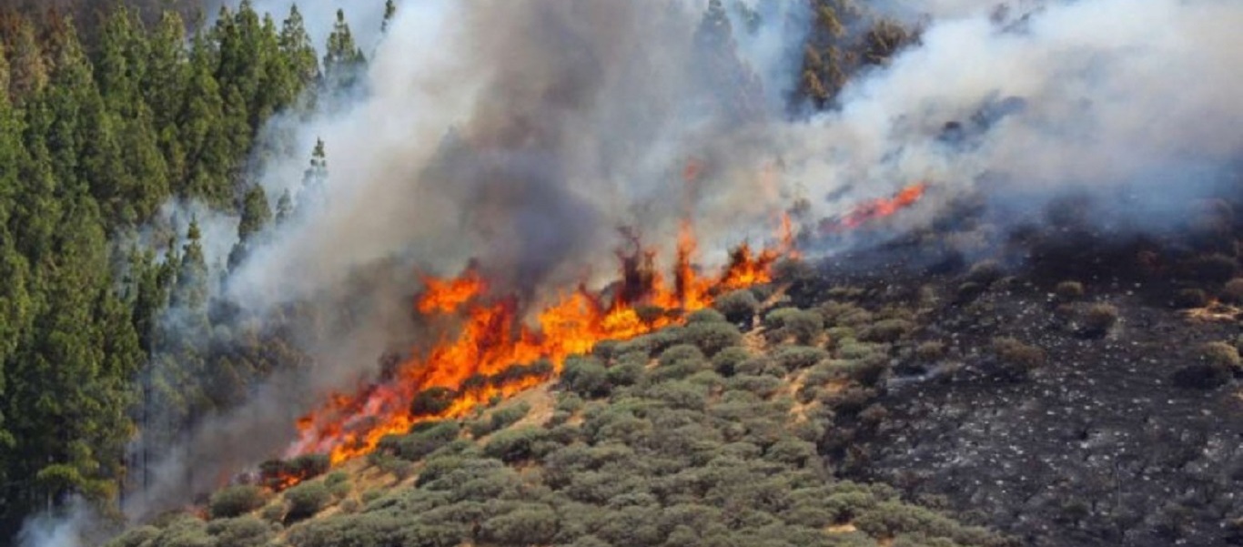 Σε ποιες περιοχές ο κίνδυνος πυρκαγιάς είναι αύριο υψηλός – Δείτε τον χάρτη (φώτο)