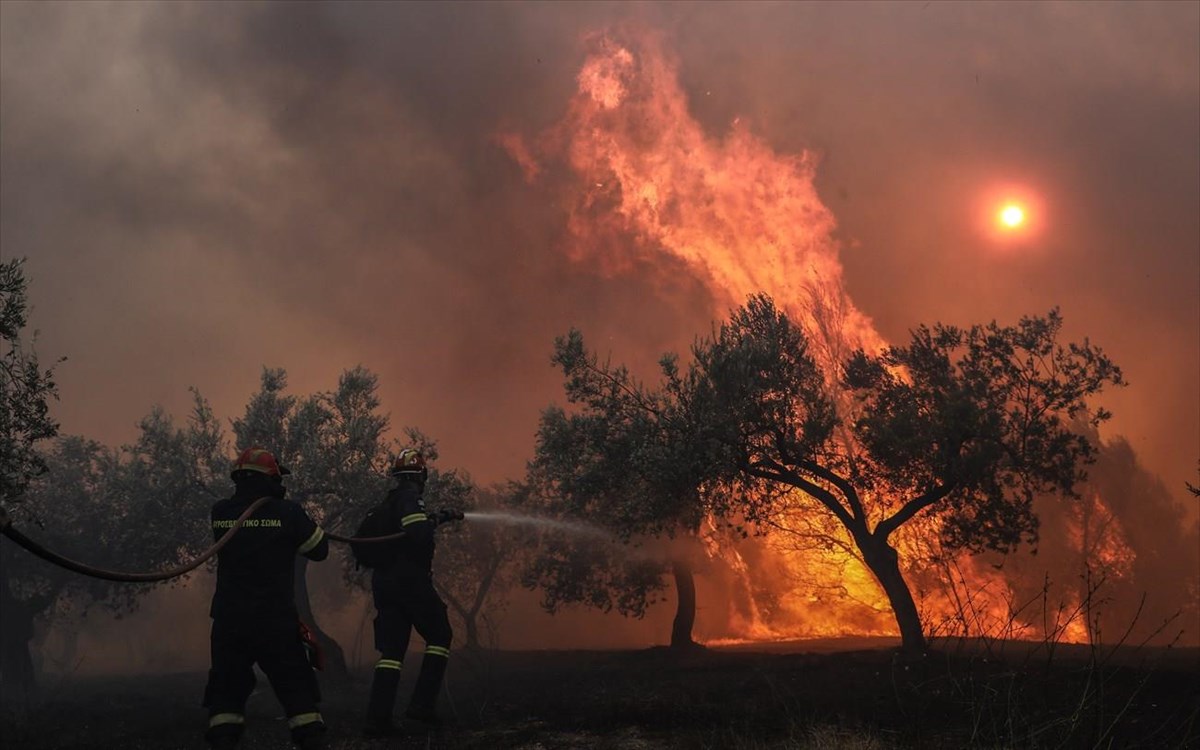 Πυρκαγιά σε δασική έκταση στον Άγιο Βλάση Σοφικού στην Κορινθία – Εκκενώνονται οικισμοί και μοναστήρι (βίντεο)