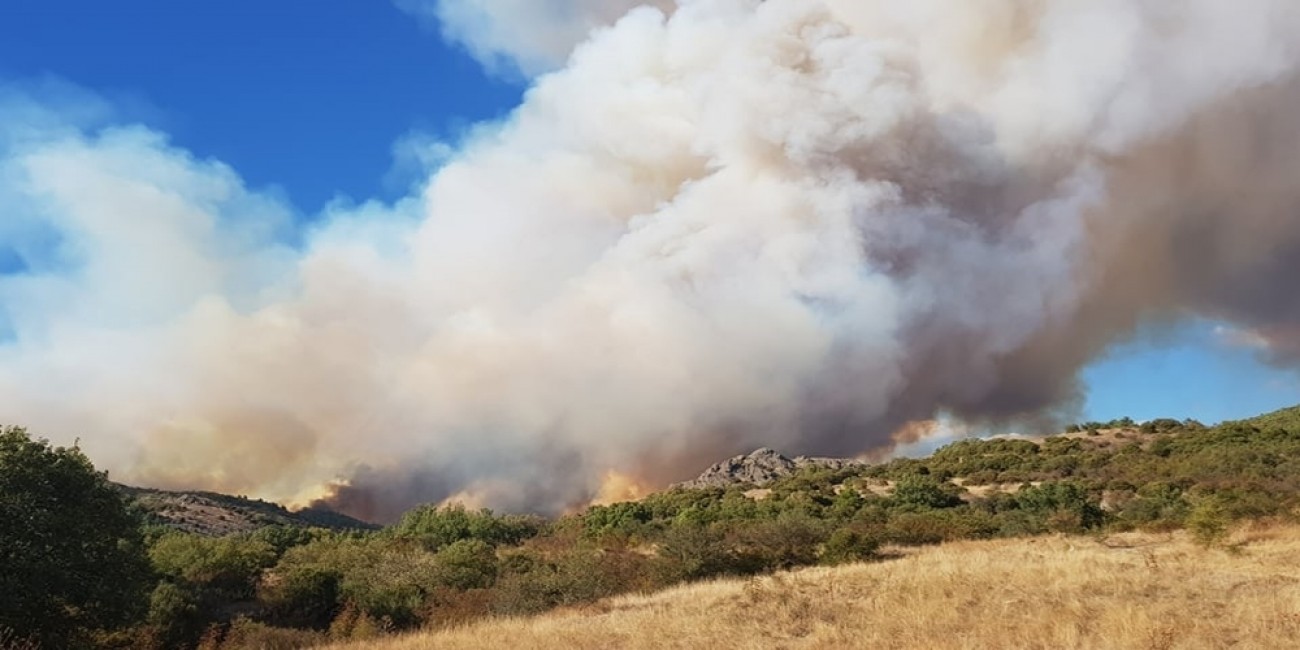 Φωτιά στον Έβρο: Καίγονται δασικές εκτάσεις στον δρυμό της Δαδιάς – Έρευνες της ΕΛ.ΑΣ για το πως ξεκίνησε (βίντεο)