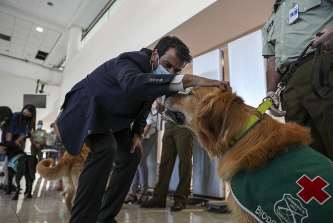 Ποια τεστ; – Στην Χιλή σε ελέγχουν για κορωνοϊό με… σκυλιά (βίντεο)