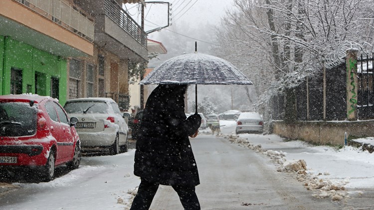 Φλώρινα: Επελαύνει η κακοκαιρία «Λέανδρος» – Σφοδρή χιονόπτωση (βίντεο)