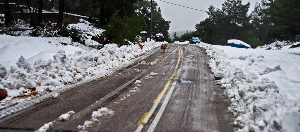 Καιρός αύριο Πέμπτη: Πού θα έχει χιόνια και παγετό