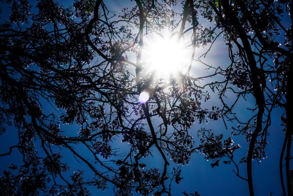 Θερμοκρασία σε υψηλά για την εποχή επίπεδα και βροχές σε ορισμένες περιοχές