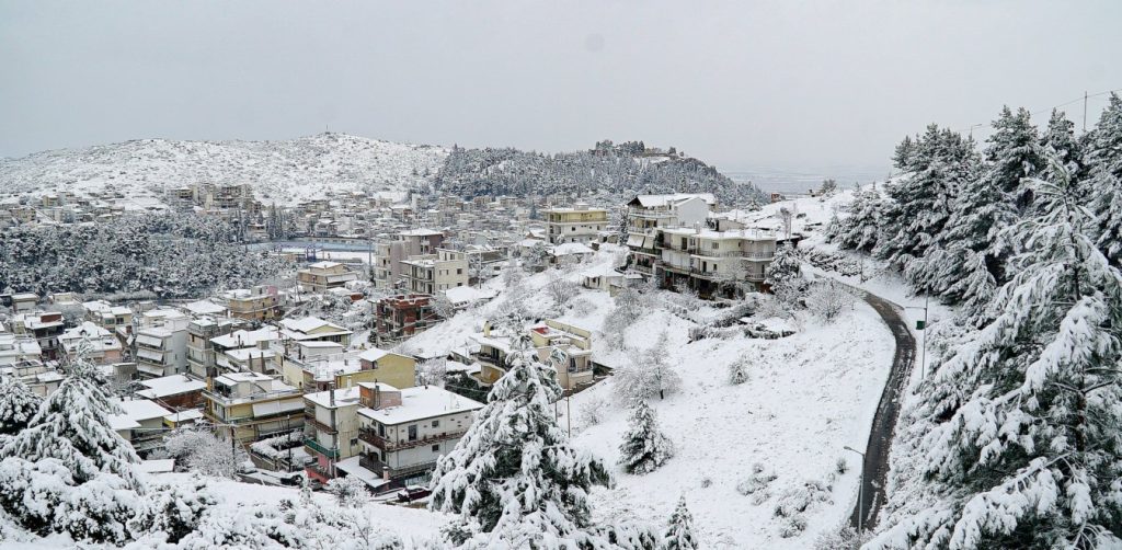 Βρέθηκε ο «ένοχος» γιατί έμεινε ο κόσμος τόσες ημέρες χωρίς ρεύμα: Το χιόνι ήταν… βαρύ για αυτό έπεσαν τόσα δέντρα