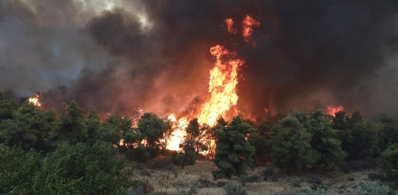 Φωτιά σε δασική έκταση στον Πύργο Ηλείας