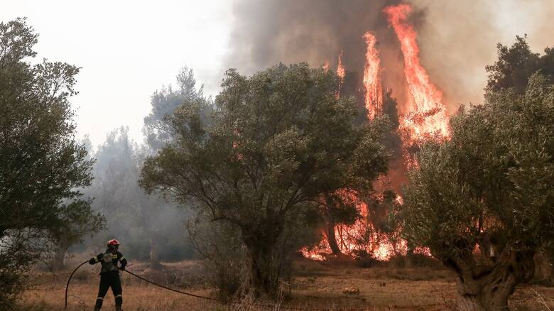 Σε πλήρη εξέλιξη για δεύτερη μέρα η φωτιά στην Κέα