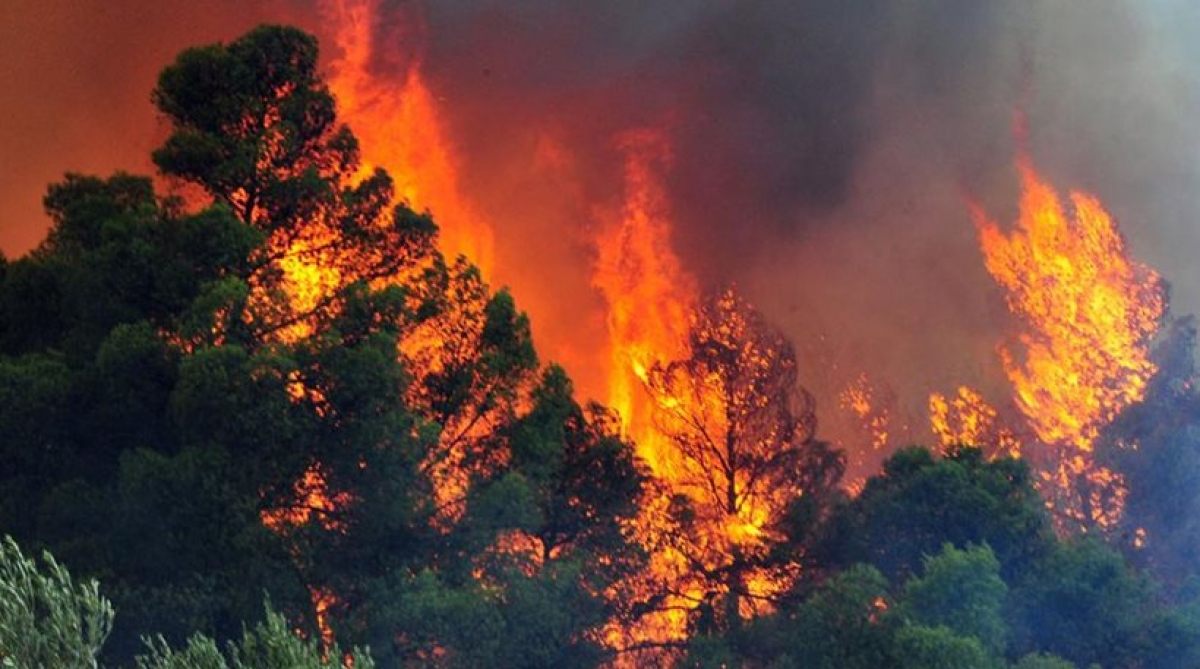 Φωτιά στο Βρωμοπούσι Κερατέας -Δεν απειλούνται σπίτια