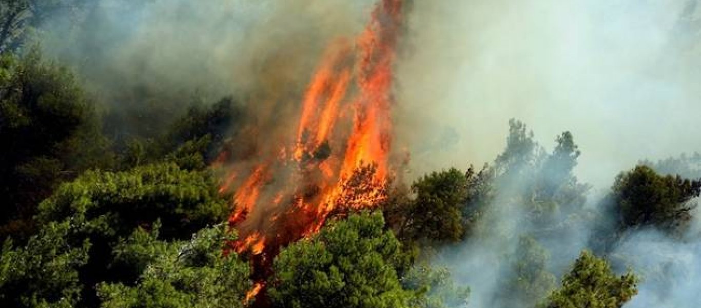 Φωτιά στην Κόρινθο – Κοντά στις γραμμές του Προαστιακού (βίντεο)