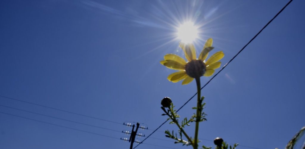 Αίθριος ο καιρός αύριο – Στους 31°C ο υδράργυρος στην Αττική