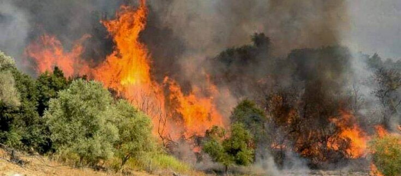 Μεγάλη φωτιά στους Ασίτες Ηρακλείου – Επιχειρούν 100 πυροσβέστες