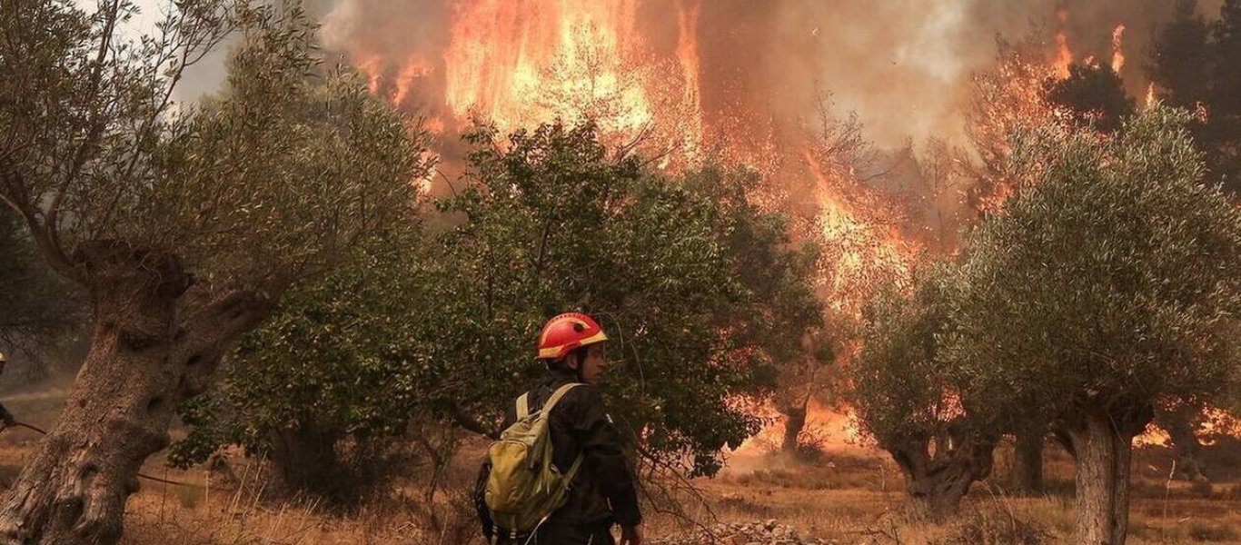 Φωτιά σε δασική έκταση στον Άγιο Νικόλαο Μονεμβασιάς