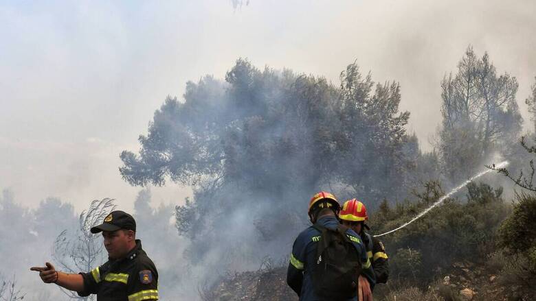 Δικογραφία για εμπρησμό από αμέλεια σε βάρος ηλικιωμένου για τη φωτιά στη Σαλαμίνα