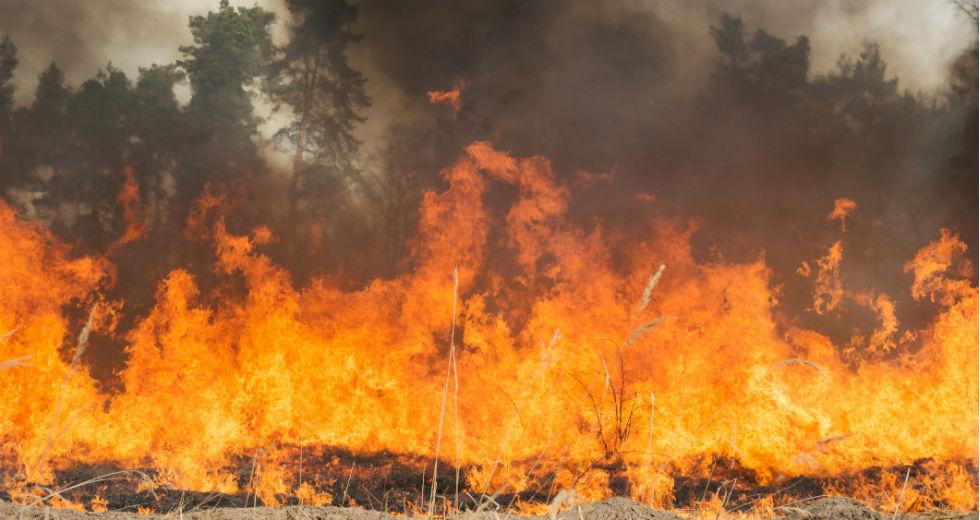 Φωτιές σε Ιωάννινα, Θάσο και Καστοριά – Υπό μερικό έλεγχο στο Κιλκίς