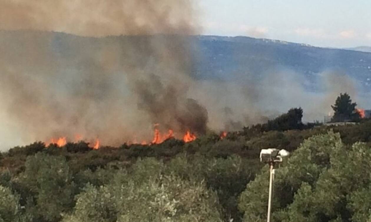 Υπό έλεγχο η πυρκαγιά στην Κεφαλονιά – Έγιναν στάχτη πάνω από 10.000 στρέμματα