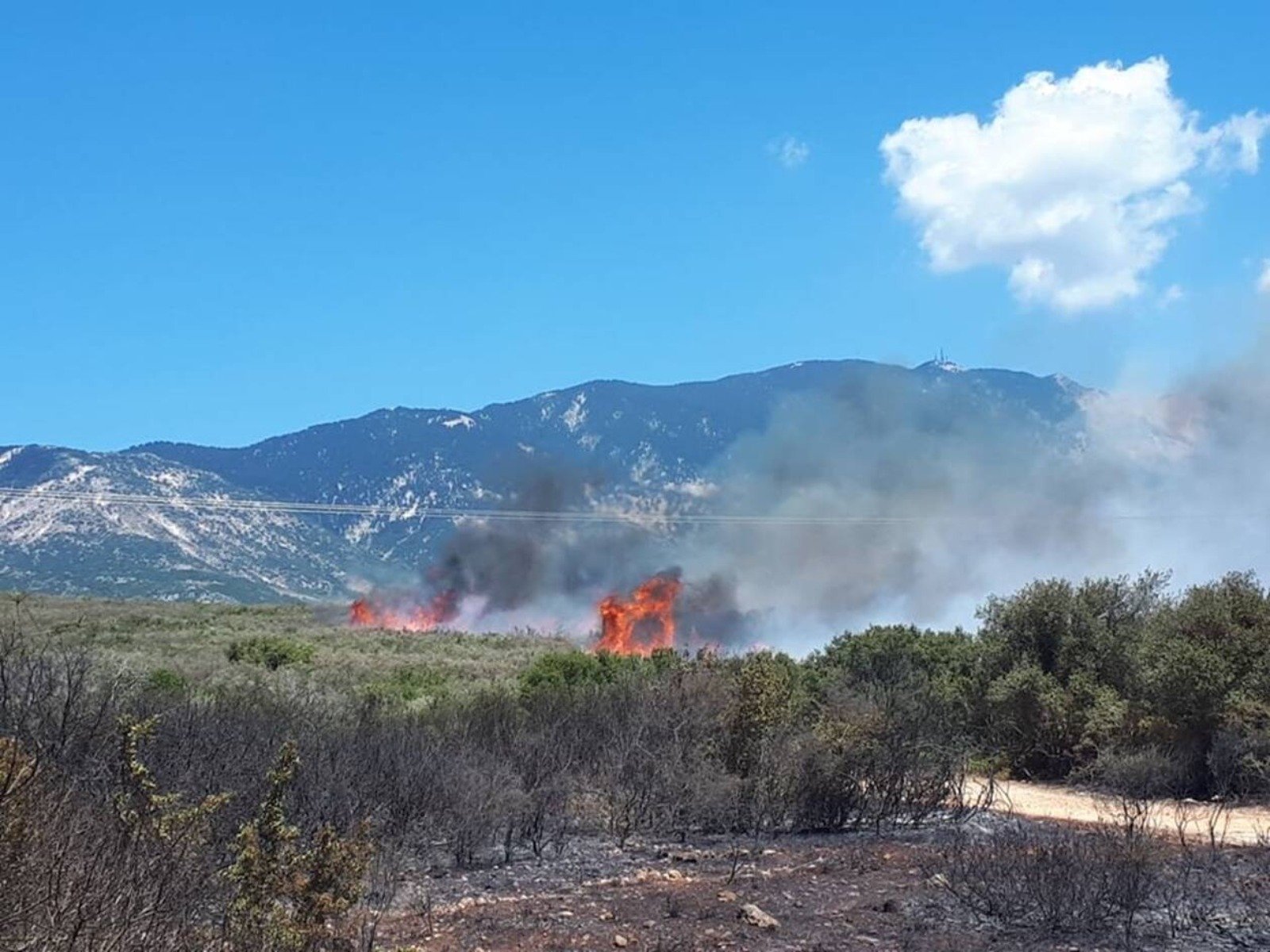 Φωτιά στην Κεφαλονιά – Η κατάθεση του 34χρονου εμπρηστή: «Εγώ έβαλα τις τρεις φωτιές στο νησί»