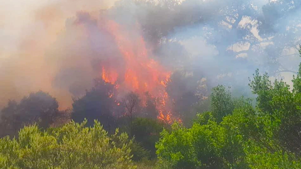 Μεγάλη πυρκαγιά στον Έβρο – Εκκενώθηκε η Λευκίμη