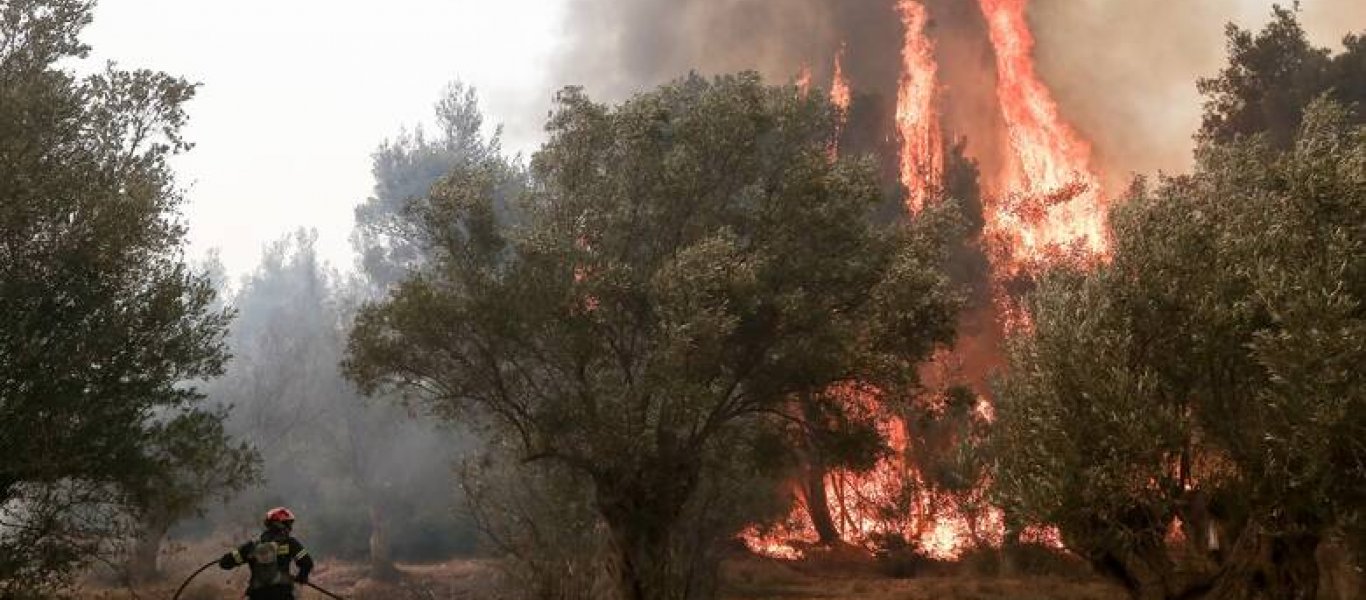 Θεσσαλονίκη: Φωτιά ξέσπασε στην περιοχή της Αγίας Τριάδας