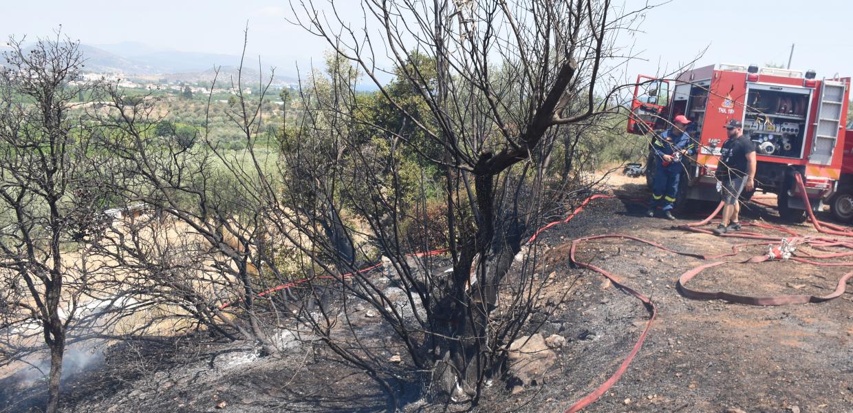 Χαλκιδική: Φωτιά σε ξερά χόρτα και σκουπίδια έκαψε ολοσχερώς σπίτι στη Βεργιά