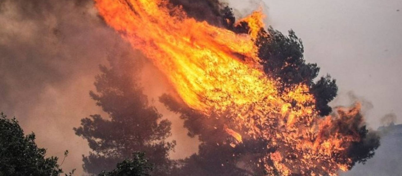 Φωτιά σε δασική έκταση στη Σιθωνία Χαλκιδικής