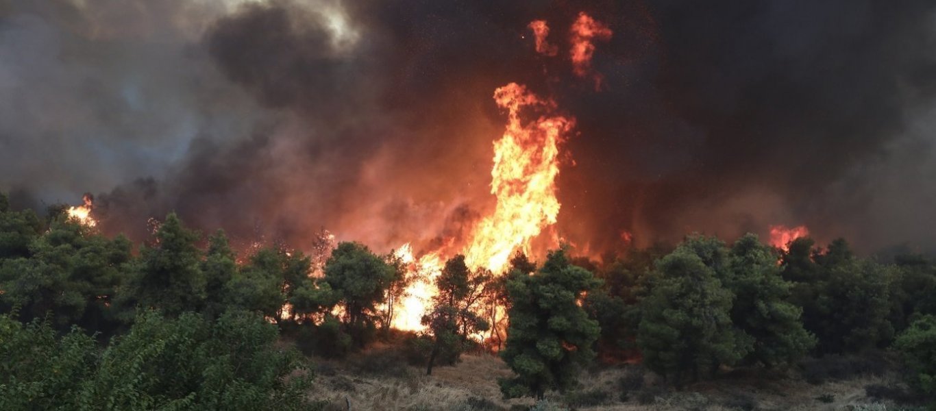 Υπό μερικό έλεγχο τέθηκε η φωτιά στη Χασιά Αττικής (upd)