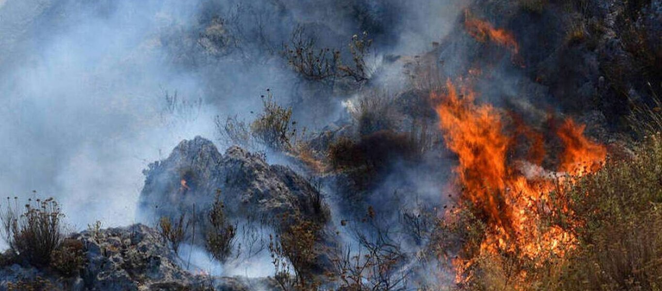 Φωτιά στον Αλμυρό Μαγνησίας