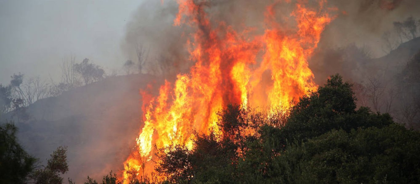 Φωτιά σε αγροτοδασική έκταση στο Σιδηρόκαστρο Λακωνίας