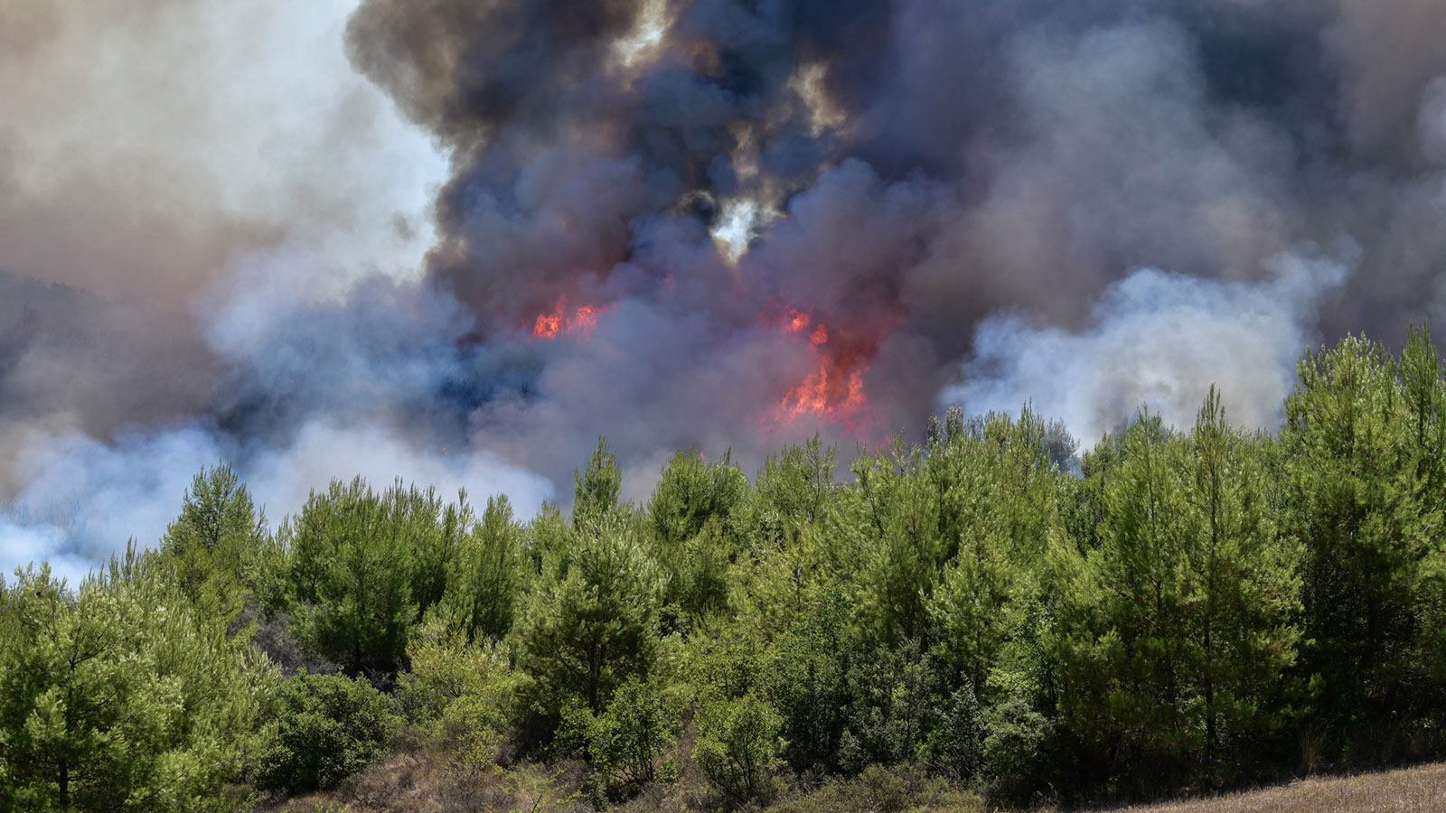 Πυρκαγιές κατακαίγουν Αργολίδα και Χαλκίδα – Πού είναι τα «δεκάδες» πυροσβεστικά αεροσκάφη της κυβέρνησης;