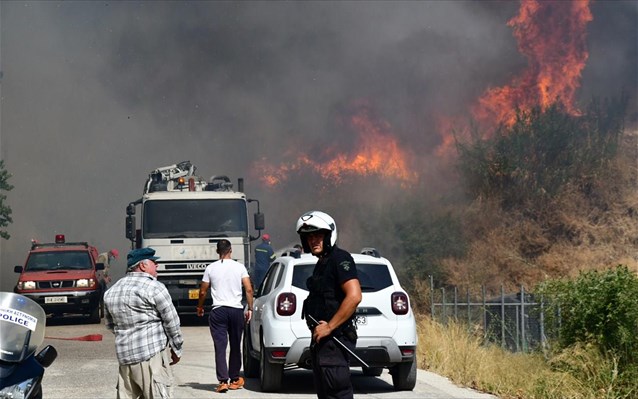 Φωτιά και στην Ερμιονίδα Αργολίδας