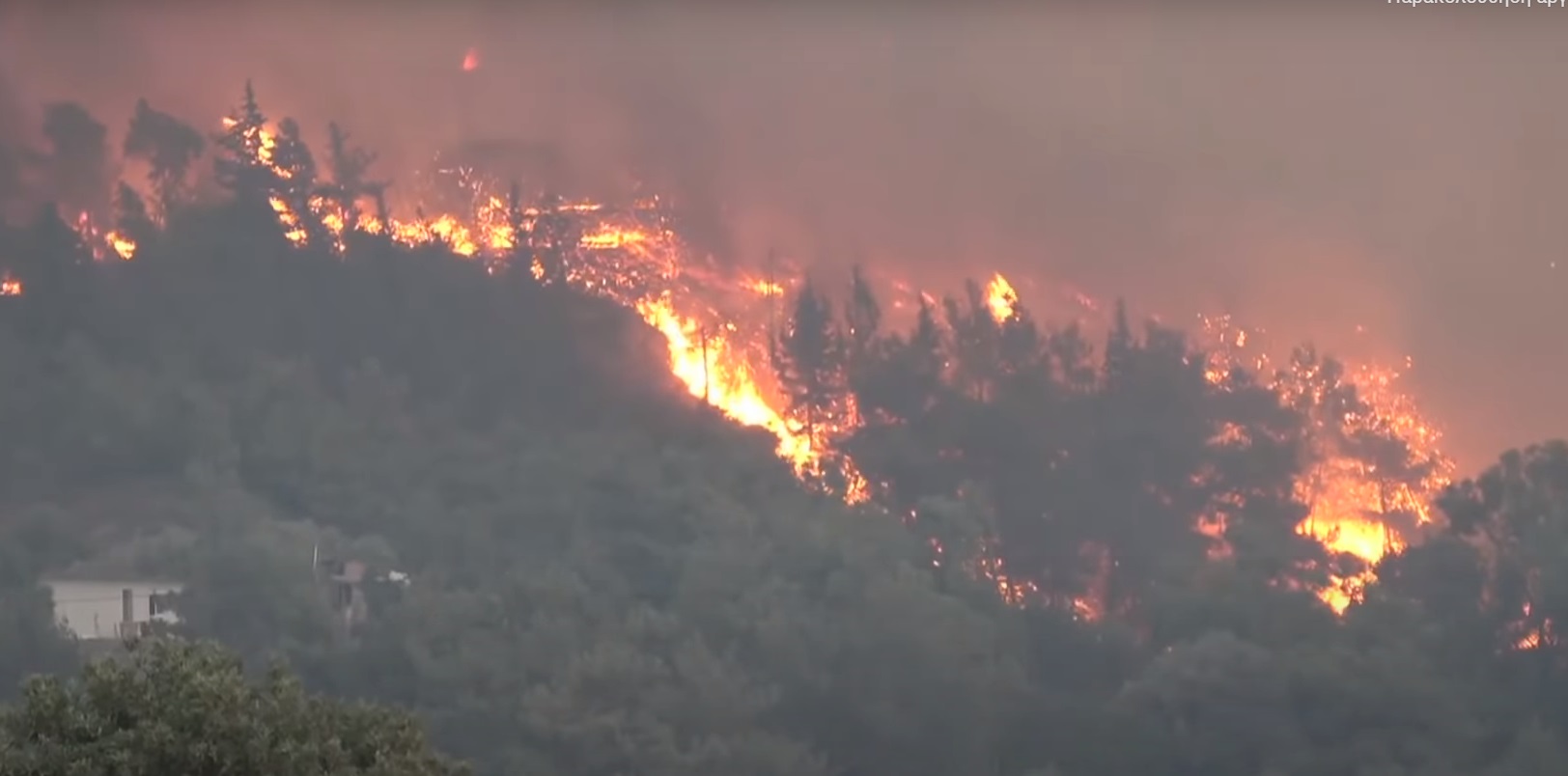 Σε ύφεση οι φωτιές σε Ρόδο, Φθιώτιδα, Μεσσηνία και Έβρο