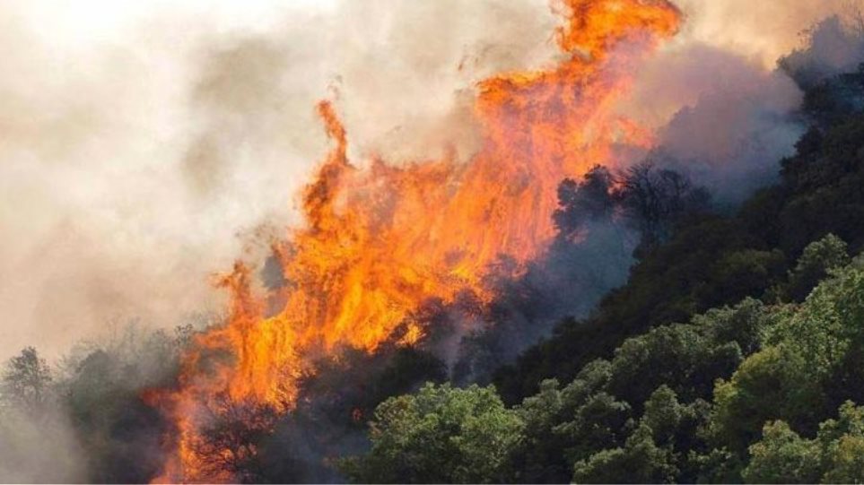 Φωτιά στην Καστανιά Μάνης: Εκκενώθηκαν οι οικισμοί Καστάνια, Άγιος Νικόλαος και Κόκκινα Λουριά