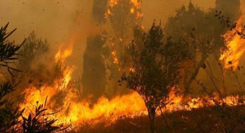 Φωτιά και στα Καλάβρυτα: Επί τόπου ισχυρές πυροσβεστικές δυνάμεις