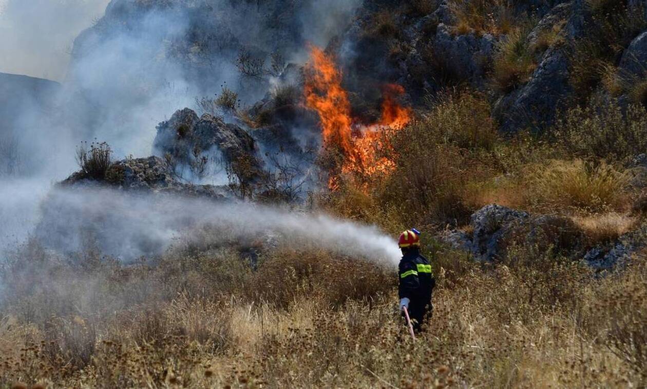 Αρχαία Ολυμπία: Έκτακτη σύσκεψη στο δημαρχείο για τη φωτιά με τον Μ. Χρυσοχοΐδη